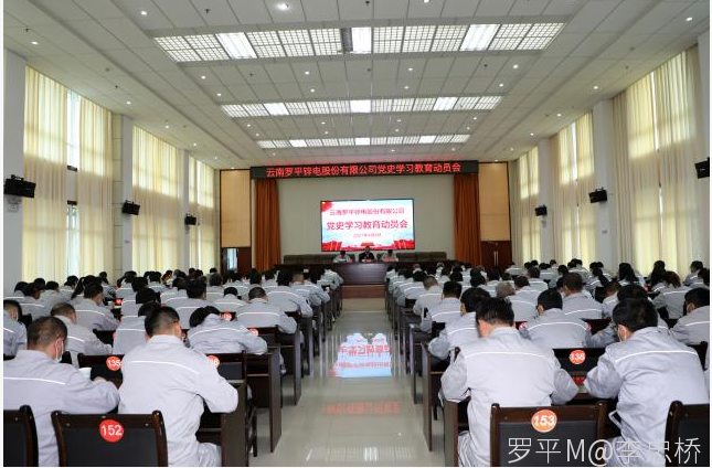 开云电子(中国)官方网站召开党史学习教育动员会